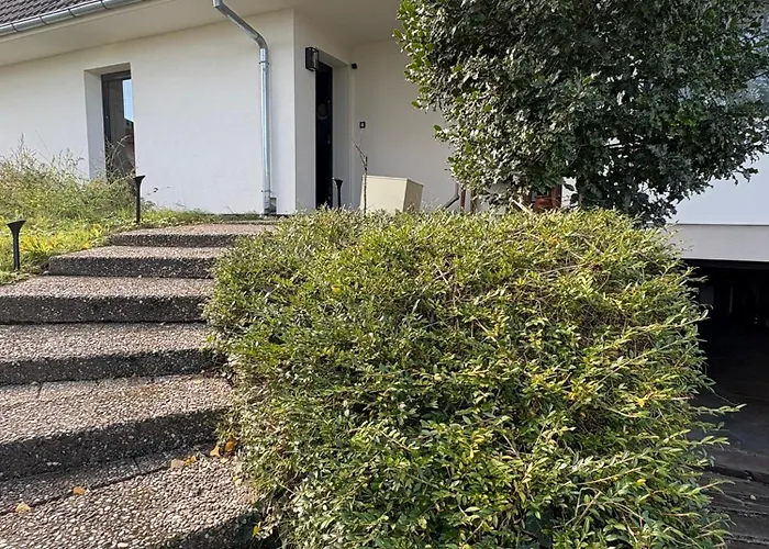 Les Nids Du Loriot *